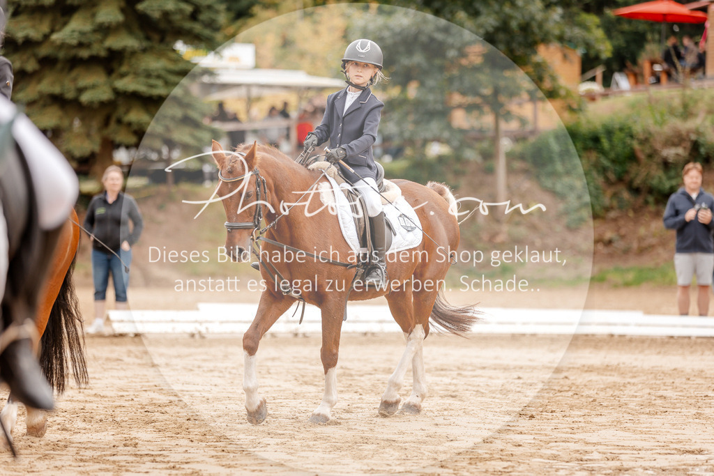 3I6A8369 | Stimmungsvolle Portraits und Reitsportfotografie im Ruhrgebiet und im Münsterland.

Pferdefotografie, Hundefotografie, Tierfotografie, Reportagen, Portraits von Tier und Mensch, Turnierfotografie in Bochum, Recklinghausen, Marl, Haltern am See, Dülmen.. - Realisiert mit Pictrs.com