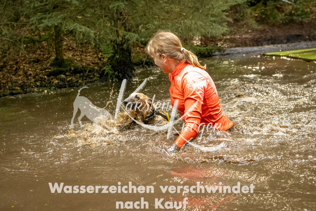 1413_ZZ91599-Bearbeitet | kk-dogfotos