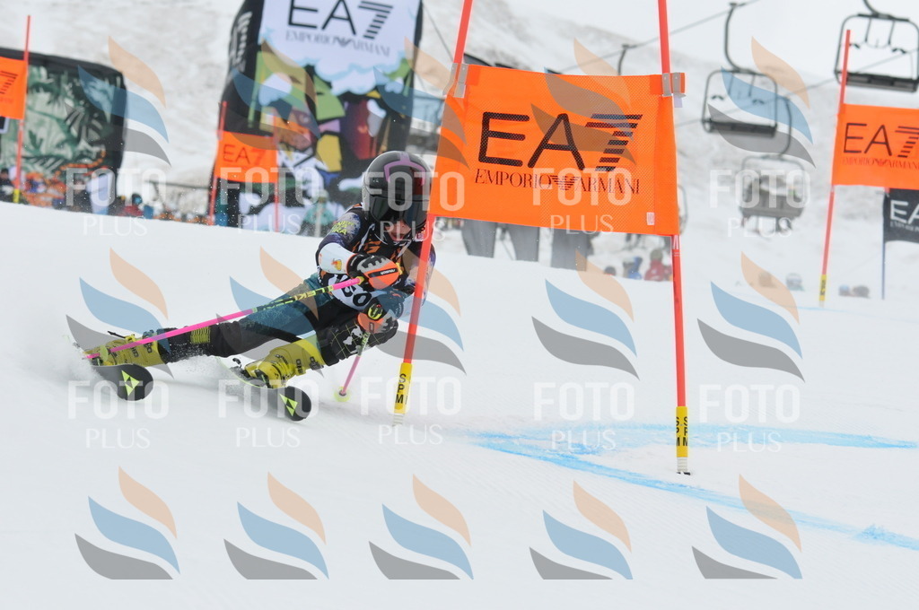 DSC_8831 | holidayphoto