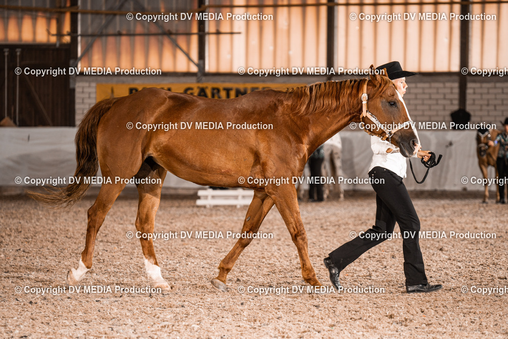 ZH200121 | dv-media-shop - Realisiert mit Pictrs.com