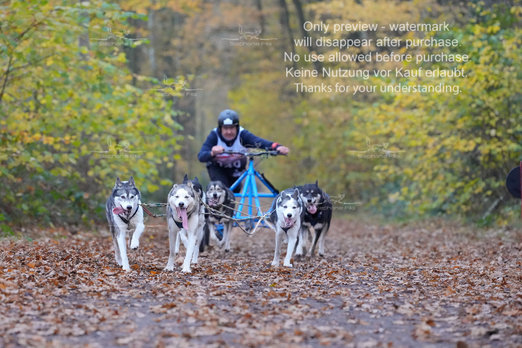 Rigs4bis8So-121 | stephaniefillaphotographie - Realisiert mit Pictrs.com