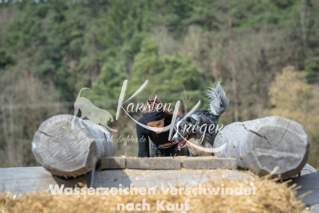 1156_ZZ98695 | kk-dogfotos