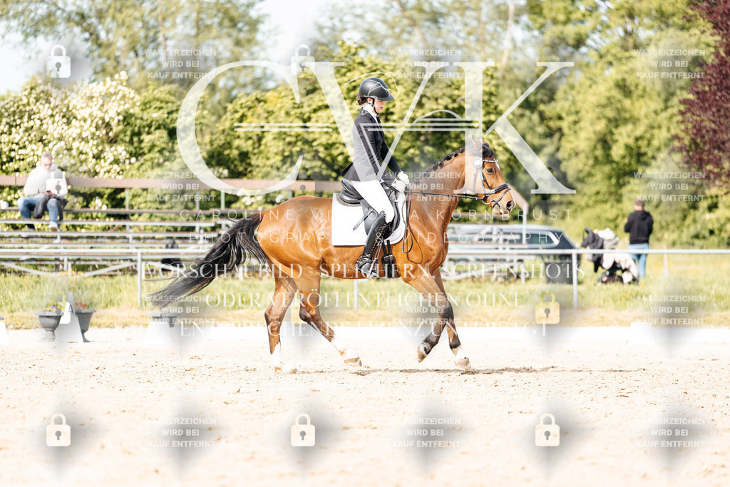 CK900531 | Turnierfotografie Pferdefotografie Trier Rheinland-Pfalz Pferdesport Reitsport Tierfotografie Sportfotografie Pferdevideo Pferdevideografie Equestrianvideography equestrianphotography  - Realisiert mit Pictrs.com