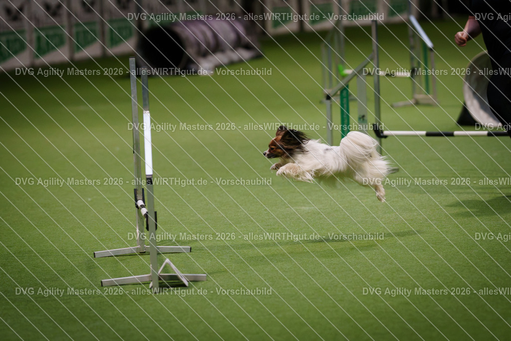 allesWIRTHgut_Tierfotografie-DVG_Agility_Masters_2026-08_30-7R508207 | Professionelle Tierfotografie in Mönchengladbach von Daniel Wirth (allesWIRTHgut). Liebevolle & natürliche Bilder von Hunden & Katzen für unvergessliche Erinnerungen.