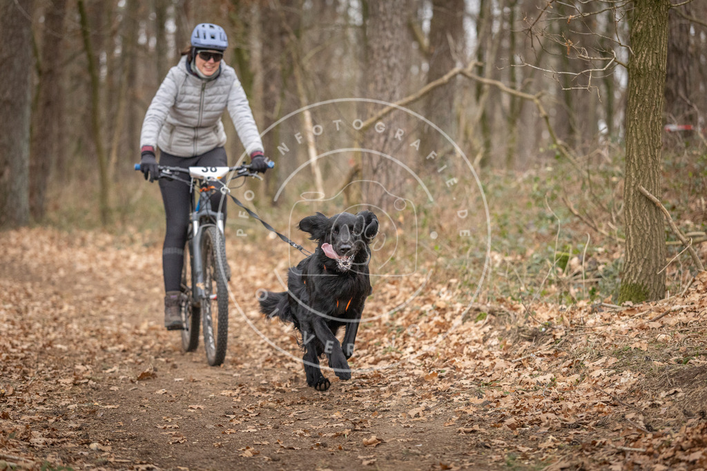 Pfotenfotografie_DV3A0277 | Hundefotografie, Tierfotograf, Pfotenfotografie, Fotoshooting Hund, Hunde Portrait, Hundesport, Hundeportraits, Heideshooting, Hunde, Sportfotograf, Hundefotograf, Turnierhundsport, THS,  - Realisiert mit Pictrs.com
