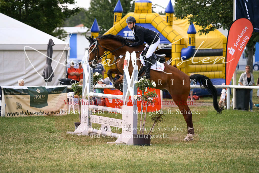 DSC_0991 | Pferde- und Turnierfotografie in Westsachsen. Pferdeportraits, Auftragszeichnungen und intuitive Kunst.
