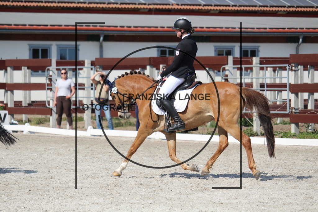 IMG_5506 | franziskalange - Realisiert mit Pictrs.com