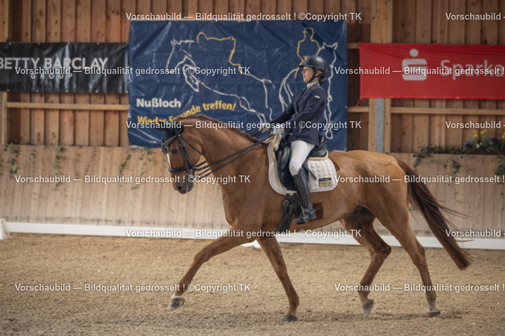 _D5A5819 | Emotionale Pferde- & People-Fotografie rund um Heidelberg, Leimen & Umgebung. Natürliche Fotos von Pferd, Mensch & Familie. Jetzt Termin sichern!