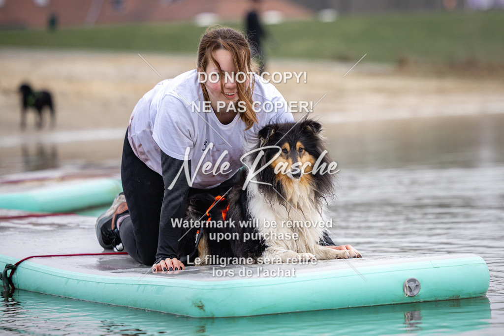 nelerasche_Hulsbeek_Sa1130-1230_392 | nelerasche