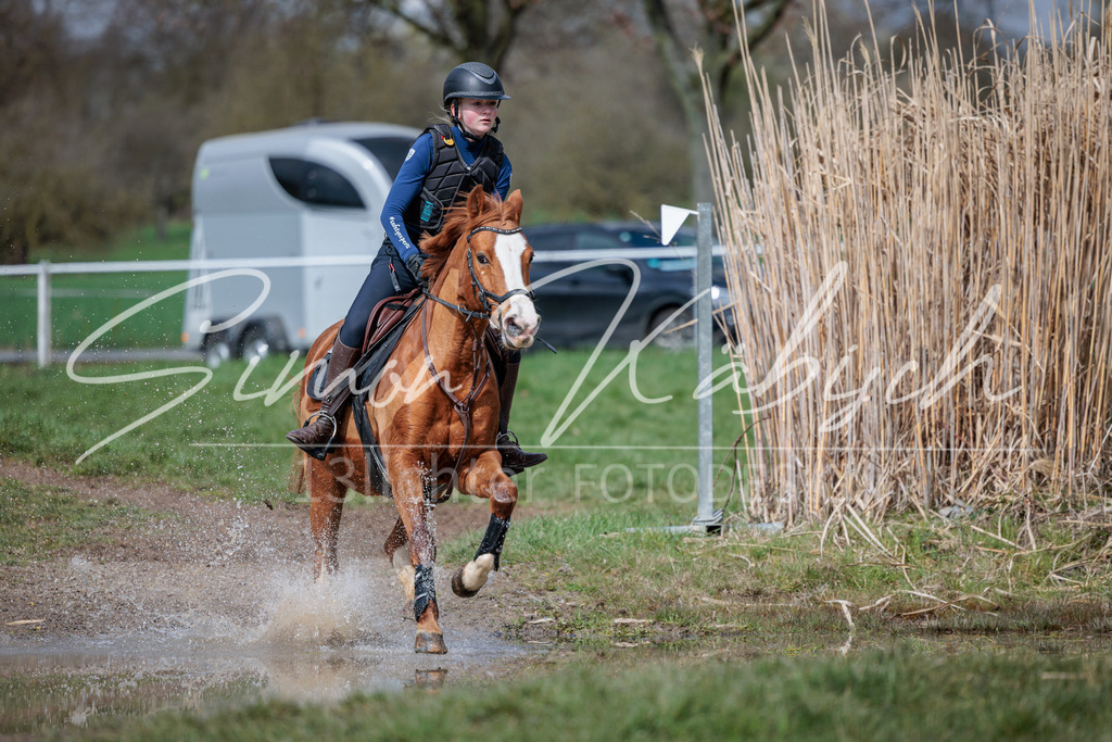 20260329-_3LI4730 | Tierfotografie Pferde, Hunde, Katzen, Haustiere.
Turnierfotografie Reitturniere, Reiten, Springreiten, Dressur in Hanau, dem Main-Kinzig-Kreis und dem Rhein-Main- Gebiet um Frankfurt