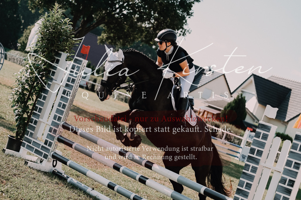 DSC_4831 | Pferde- und Turnierfotografie in Westsachsen. Pferdeportraits, Auftragszeichnungen und intuitive Kunst.