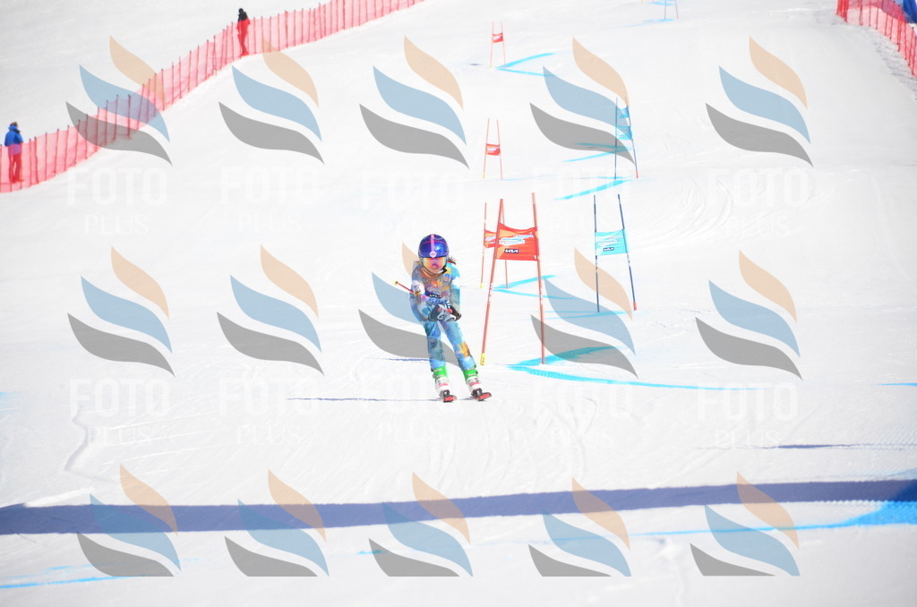 VR4_8823 | holidayphoto