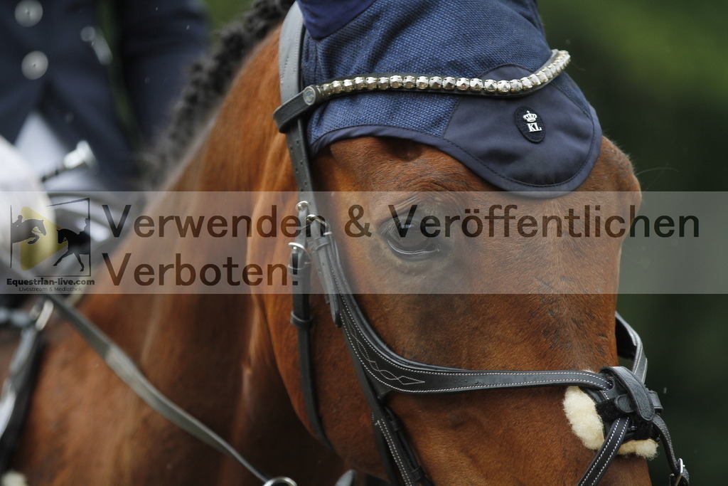 _MG_9425 | equestrian-live-com