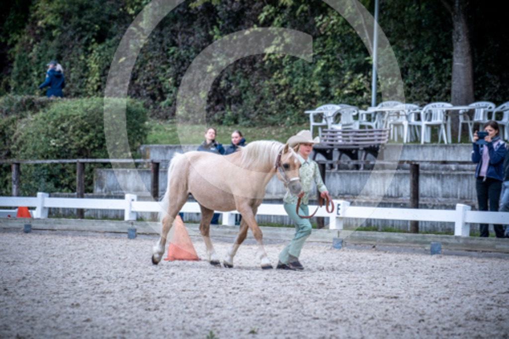 HEB06448 | BS-foto