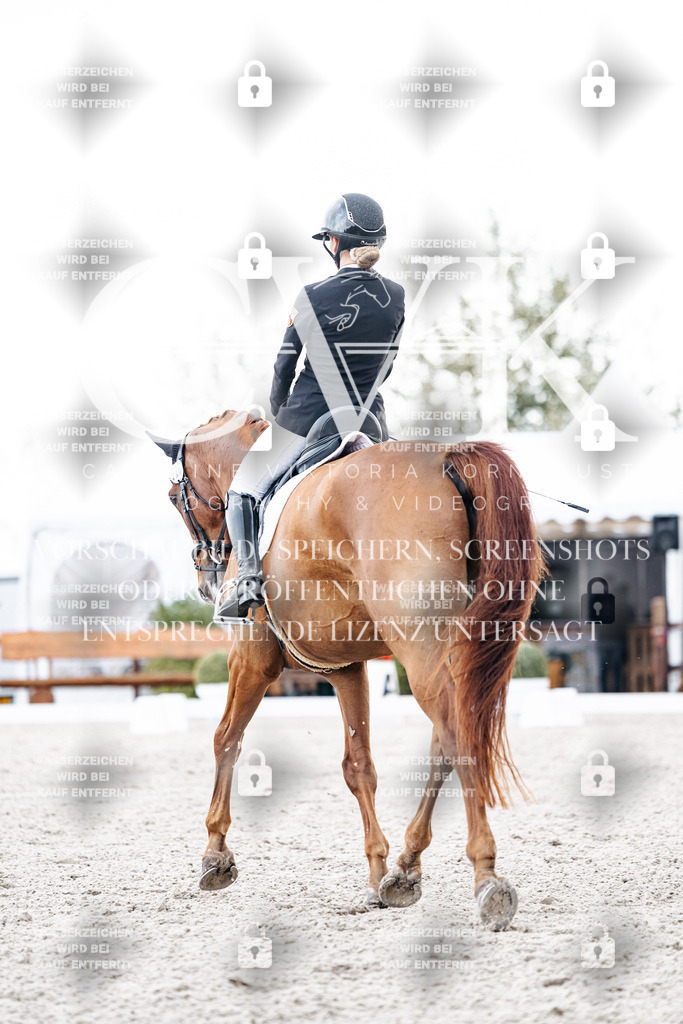 CK900727 | Turnierfotografie Pferdefotografie Trier Rheinland-Pfalz Pferdesport Reitsport Tierfotografie Sportfotografie Pferdevideo Pferdevideografie Equestrianvideography equestrianphotography  - Realisiert mit Pictrs.com