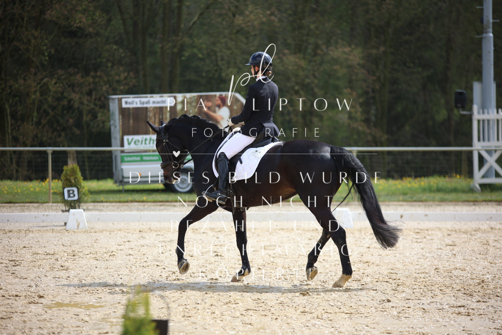 IMGT3648 | pl-fotografie