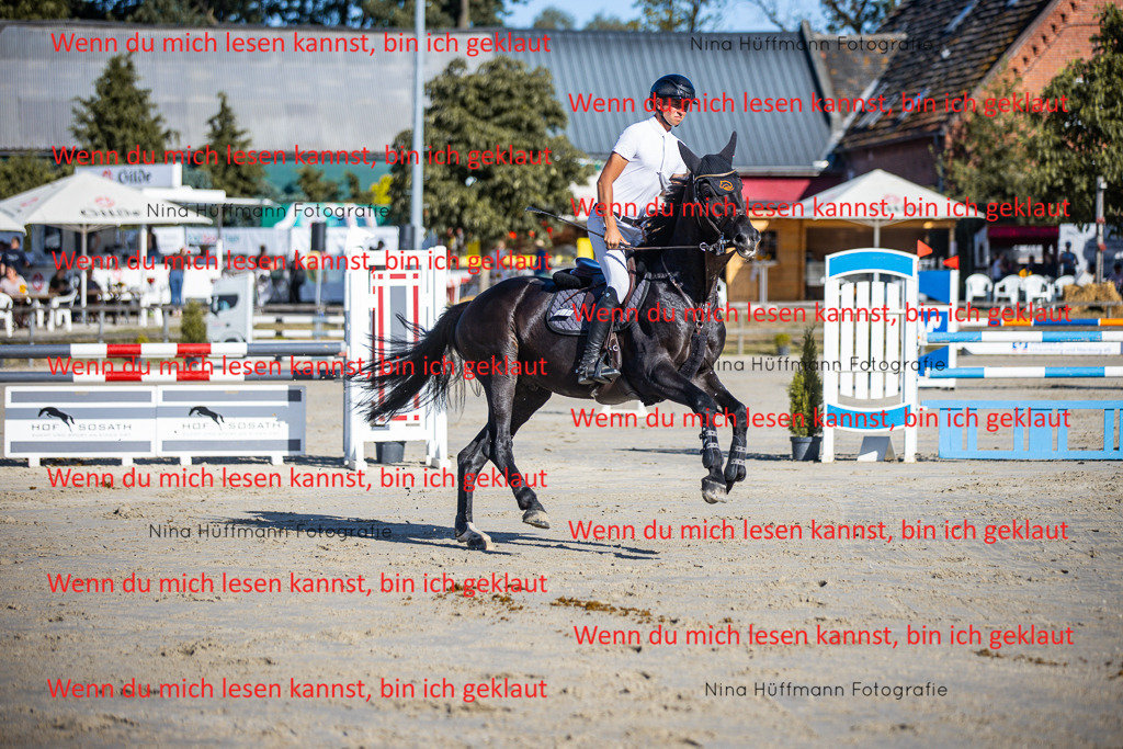 BK1A5993 | Turnierbilder Turnierfotos Nina Hüffmann Turnierfotografie Pferdefotografie Tierzeichnung Haustierzeichnung Pferdezeichnung Hundezeichnung Videograf  - Realisiert mit Pictrs.com