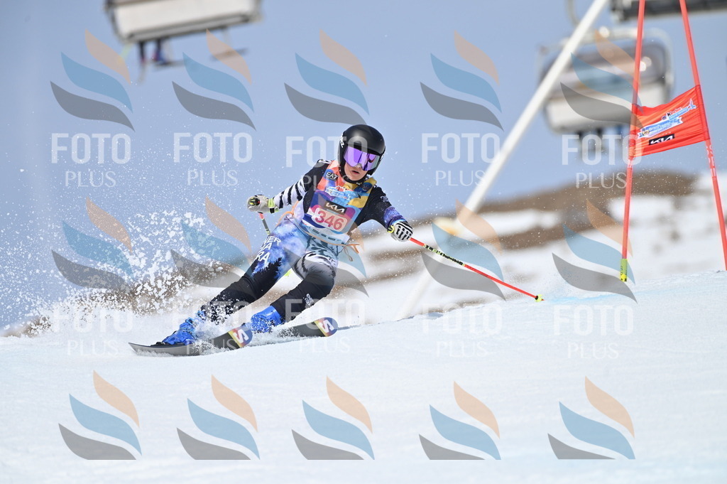 BGV_3555 | holidayphoto