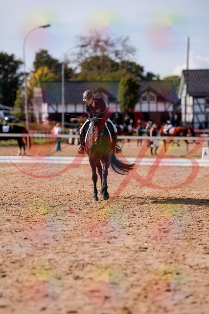 2026_10_03_Siefer-Hof_133914_Z81_98982039 | Professionelle Reitsport-, Turnier- und Eventfotografie von Robert Broda. Galerien mit ausgewählten und bearbeiteten Bildern direkt online ansehen und bestellen.