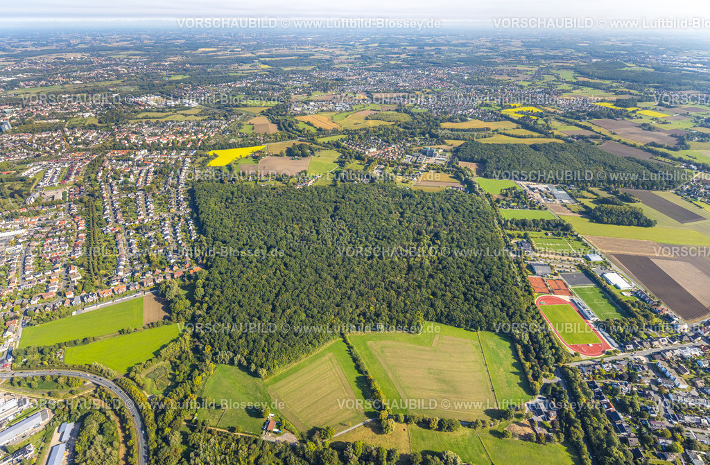 Hamm250900376 | Luftbild, komplette Ansicht der Sportplätze vom HSC in Westtünnen, HSC Kleinspielfeld Fuchshöhle, Pilsholz Wald, Blumen Bintig GmbH und Hüls Wald, Stadtbezirk Rhynern, Hamm, Ruhrgebiet, Nordrhein-Westfalen, Deutschland
