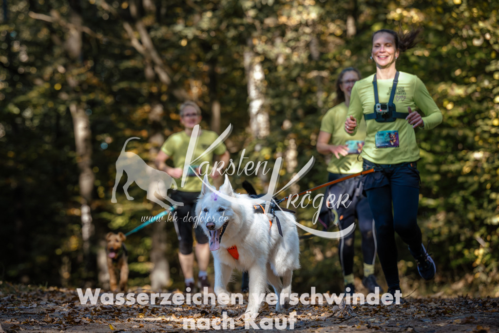 1121_ZZ92088 | kk-dogfotos