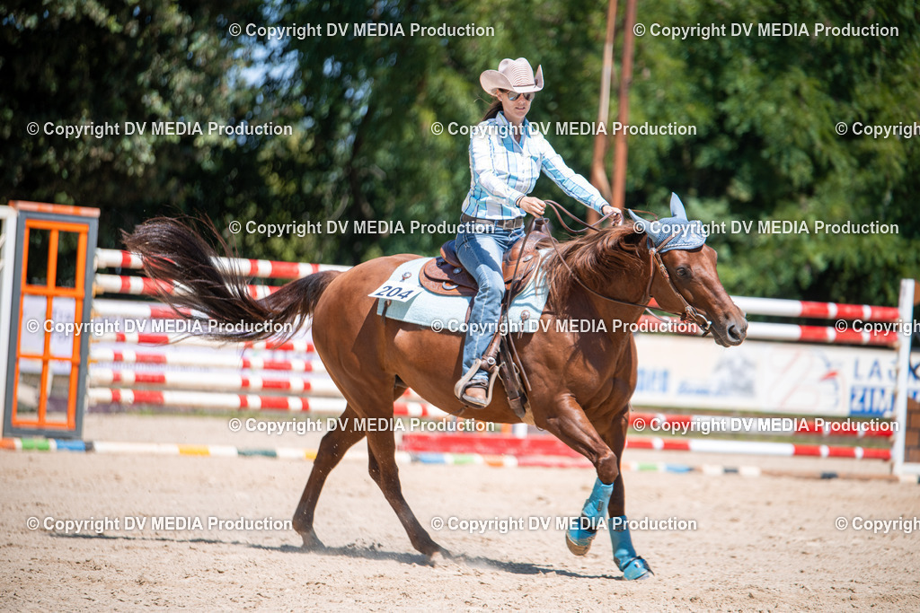 ZS1_1182 | dv-media-shop - Realisiert mit Pictrs.com