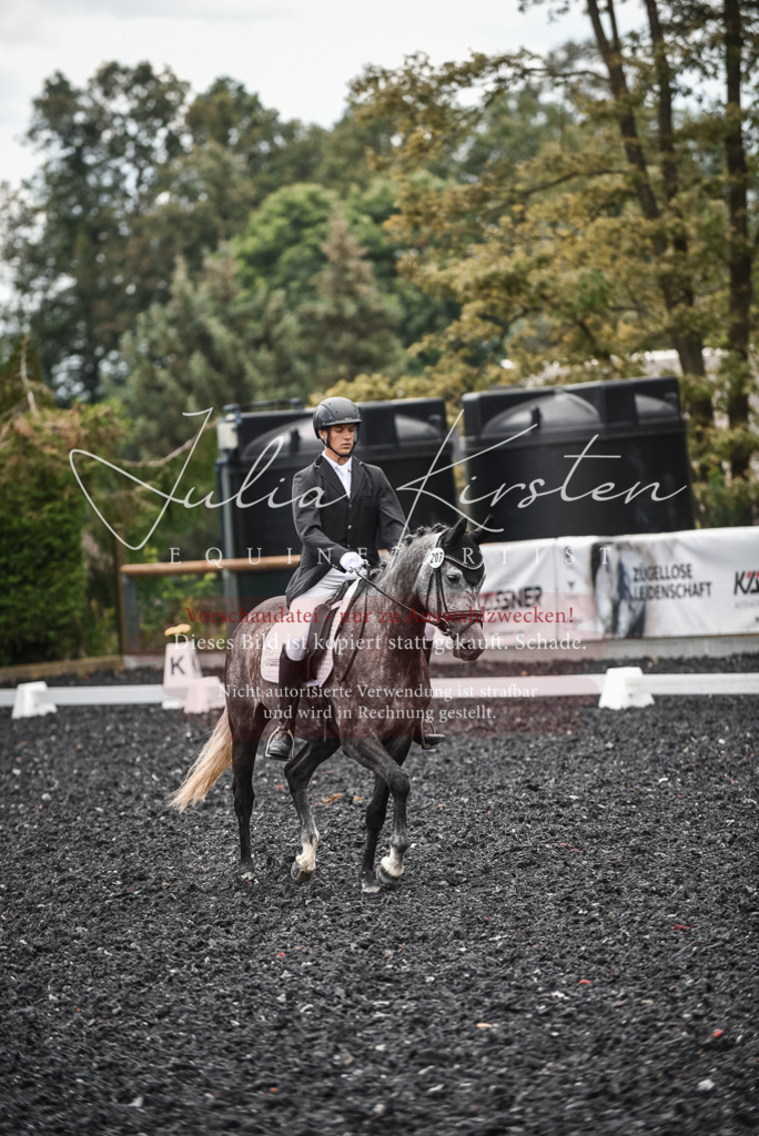 DSC_4599 | Pferde- und Turnierfotografie in Westsachsen. Pferdeportraits, Auftragszeichnungen und intuitive Kunst.