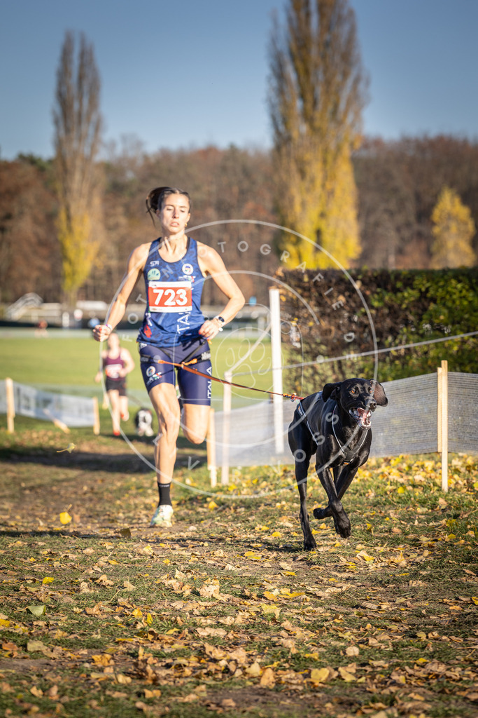CaniXpix_DV3A1875 | Hundefotografie, Tierfotograf, Pfotenfotografie, Fotoshooting Hund, Hunde Portrait, Hundesport, Hundeportraits, Heideshooting, Hunde, Sportfotograf, Hundefotograf, Turnierhundsport, THS,  - Realisiert mit Pictrs.com