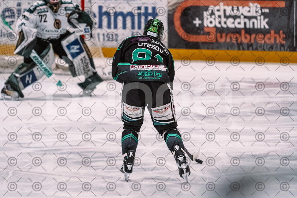 Alligators_vs_Erding_01_02_2026-59 | Höchstadt Alligators Fotogalerie: Eishockey-Action aus Franken. Professionelle Spielfotos, Portraits & Stadionbilder zum Download. Jetzt entdecken! - Realisiert mit Pictrs.com