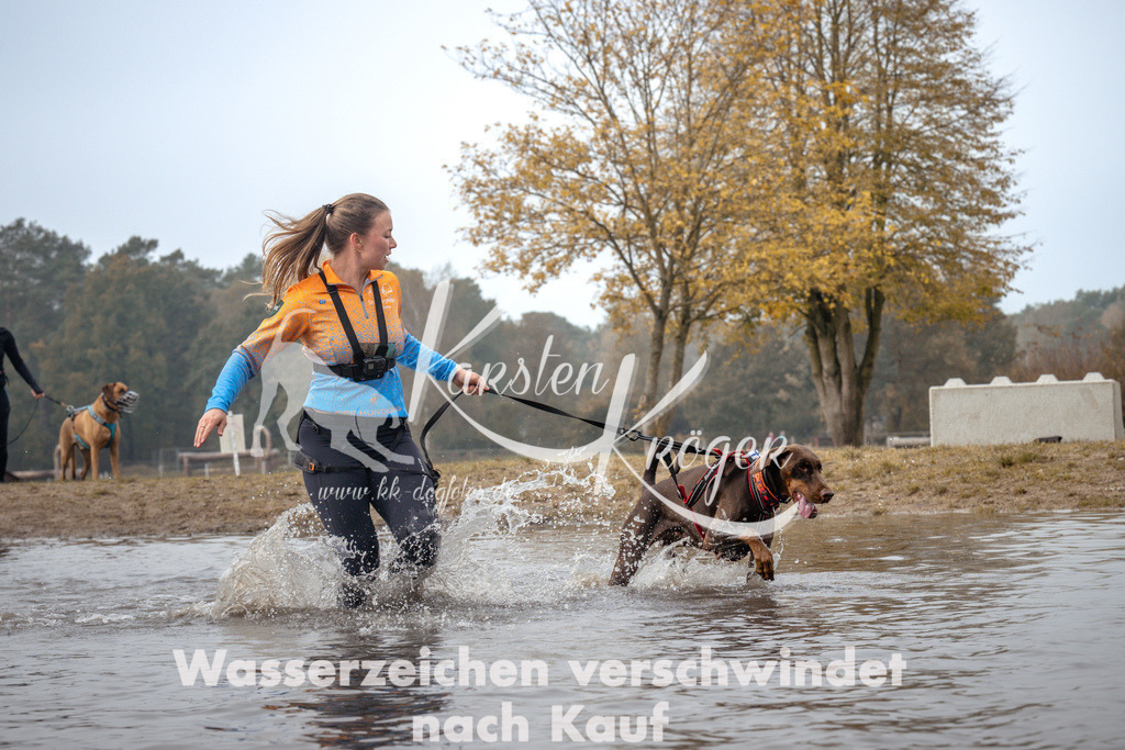 1114_ZZ93598 | kk-dogfotos