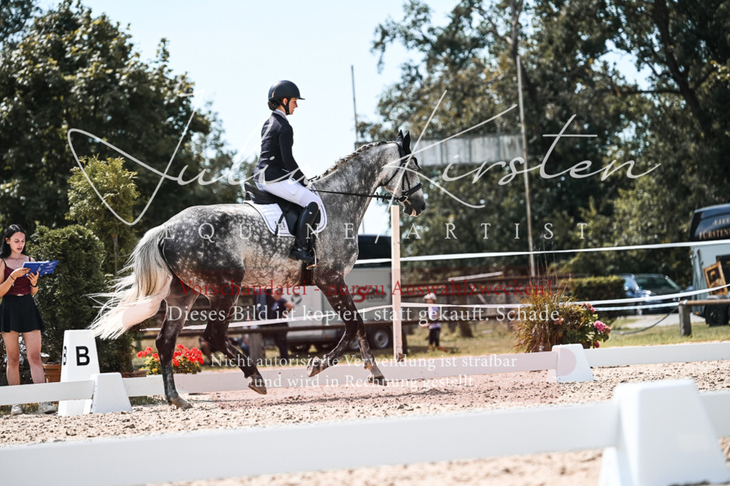 DSC_5598 | Pferde- und Turnierfotografie in Westsachsen. Pferdeportraits, Auftragszeichnungen und intuitive Kunst.
