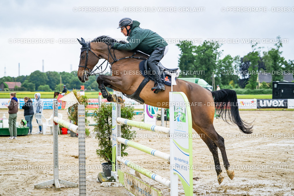 DSC03526 | Pferdegrafie