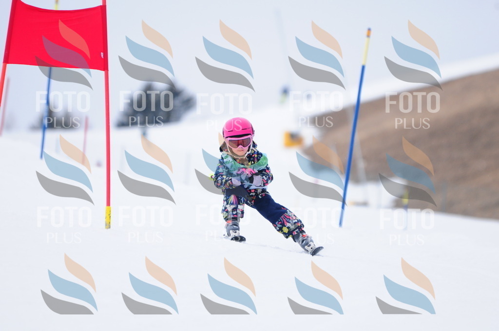 A3448 | holidayphoto