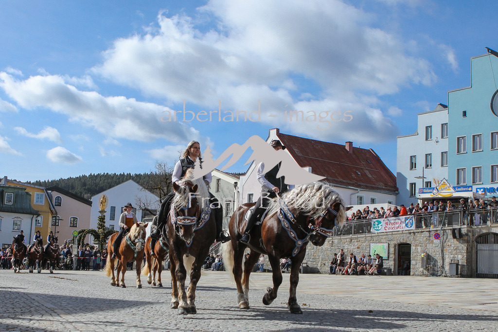 OE7A5805 | Medien- Sport- Entertainmentfotos