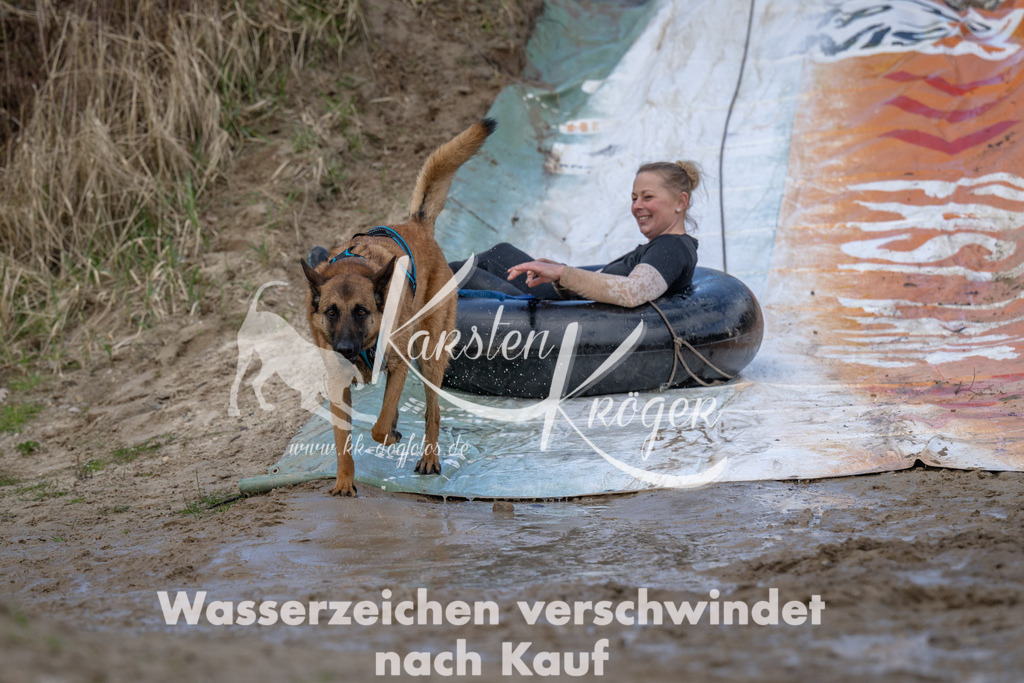 1040_ZZ91239 | kk-dogfotos