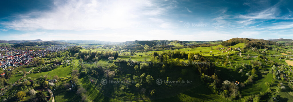 Frühlingswiesen und Obstbäume bei Donzdorf | löwenblicke | shop