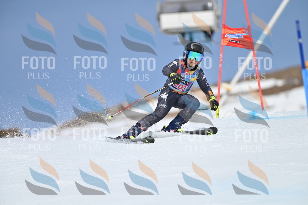 BGV_1022 | holidayphoto