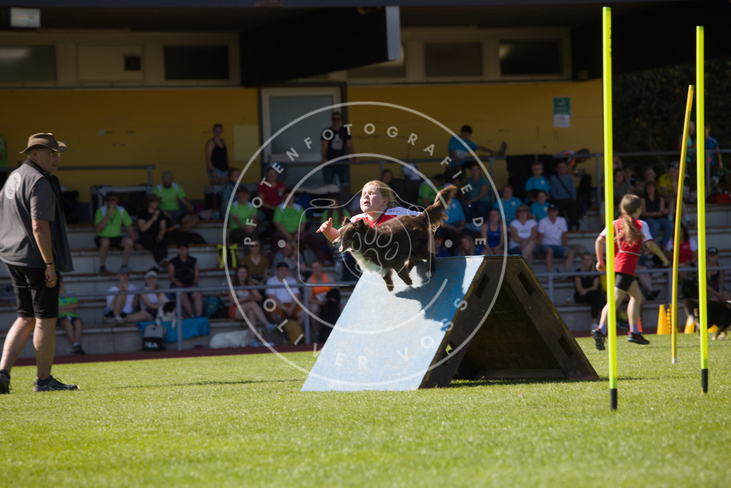 0L8A7303 | Hundefotografie, Tierfotograf, Pfotenfotografie, Fotoshooting Hund, Hunde Portrait, Hundesport, Hundeportraits, Heideshooting, Hunde, Sportfotograf, Hundefotograf, Turnierhundsport, THS,  - Realisiert mit Pictrs.com