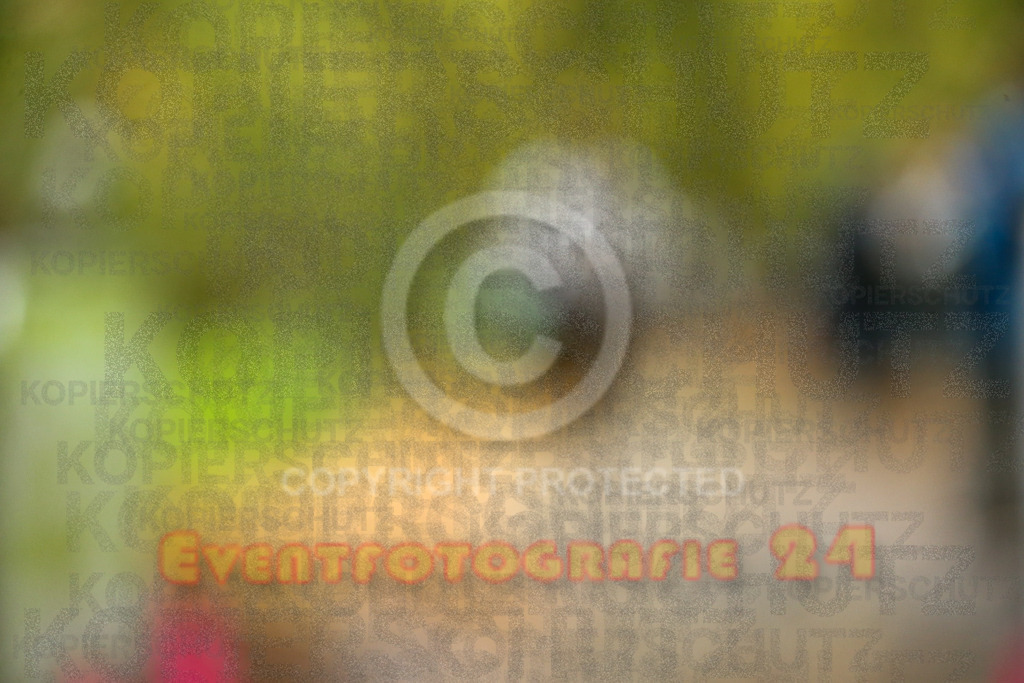 251026_1227_EX1_0395 | Sportfotografie im Rhein-Sieg Kreis, Köln, Bonn, NRW, Rheinland Pfalz, Hessen, etc. Unser Tätigkeitsfeld umfasst den Laufsport vom Volkslauf über den Marathon, Duathlon, Triathon bis zum Ultralauf wie Kölnpfad Ultra oder Schindertrail.