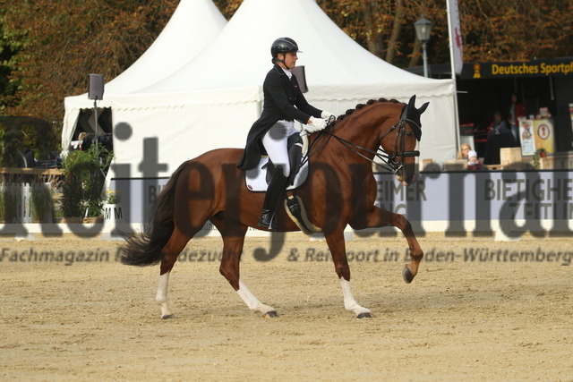 Ludwigsburg_2022_Prfg.Nr02_FEI Intermediaire I_Renate Voglsang_Johnsons Danubia (7) | Alle Fotos der Reiterjournal Fotografin Doris Matthaes im Reiterjournal Online-Fotoshop. - Realisiert mit Pictrs.com