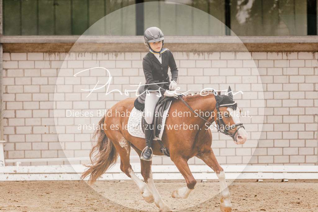3I6A0005 | Stimmungsvolle Portraits und Reitsportfotografie im Ruhrgebiet und im Münsterland.

Pferdefotografie, Hundefotografie, Tierfotografie, Reportagen, Portraits von Tier und Mensch, Turnierfotografie in Bochum, Recklinghausen, Marl, Haltern am See, Dülmen.. - Realisiert mit Pictrs.com