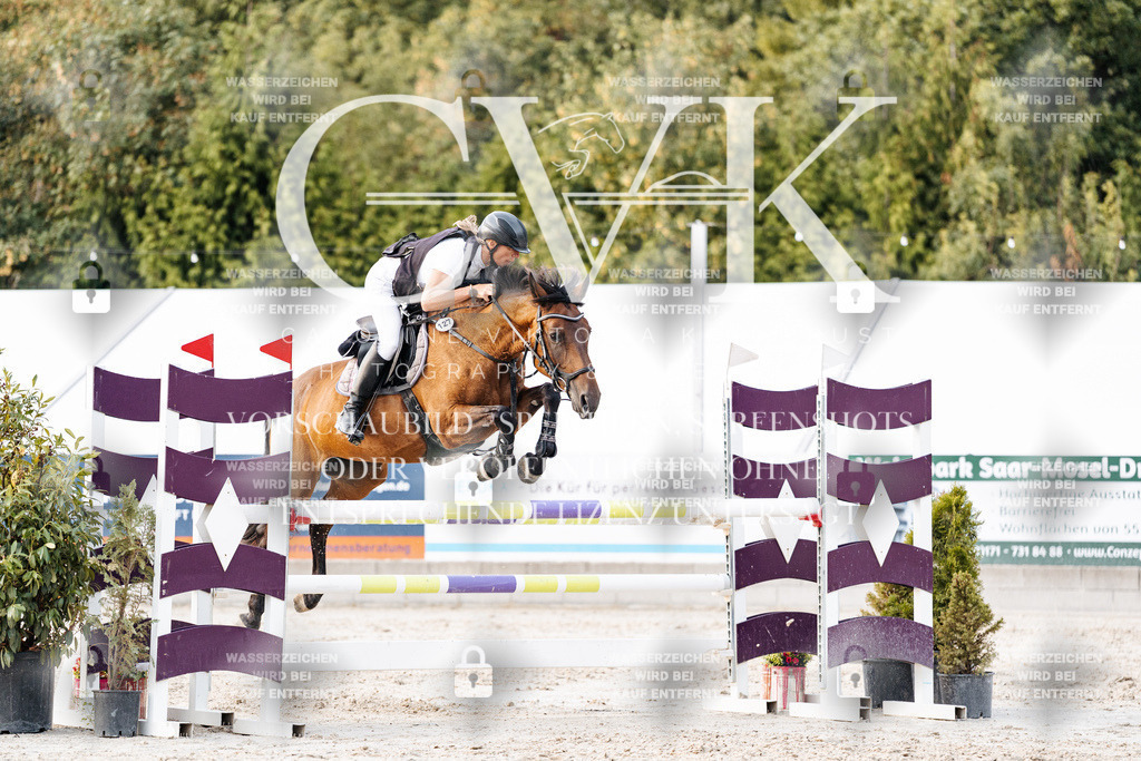 CK904050 | Turnierfotografie Pferdefotografie Trier Rheinland-Pfalz Pferdesport Reitsport Tierfotografie Sportfotografie Pferdevideo Pferdevideografie Equestrianvideography equestrianphotography  - Realisiert mit Pictrs.com
