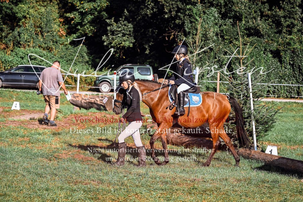 DSC_0216 | Pferde- und Turnierfotografie in Westsachsen. Pferdeportraits, Auftragszeichnungen und intuitive Kunst.
