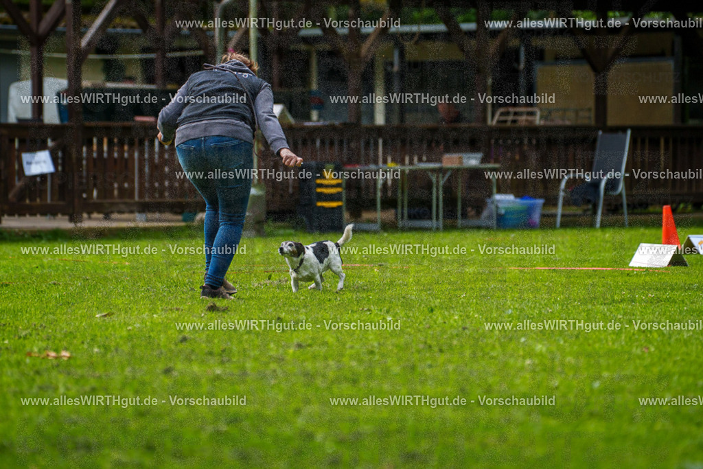 @allesWIRTHgut_Tierfotografie - www.allesWIRTHgut.de - 083144-7R506307 | Professionelle Tierfotografie in Mönchengladbach von Daniel Wirth (allesWIRTHgut). Liebevolle & natürliche Bilder von Hunden & Katzen für unvergessliche Erinnerungen.