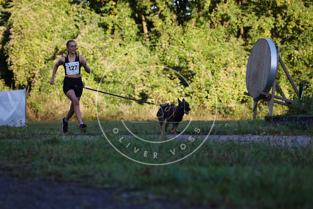 0L8A4434 | Hundefotografie, Tierfotograf, Pfotenfotografie, Fotoshooting Hund, Hunde Portrait, Hundesport, Hundeportraits, Heideshooting, Hunde, Sportfotograf, Hundefotograf, Turnierhundsport, THS,  - Realisiert mit Pictrs.com