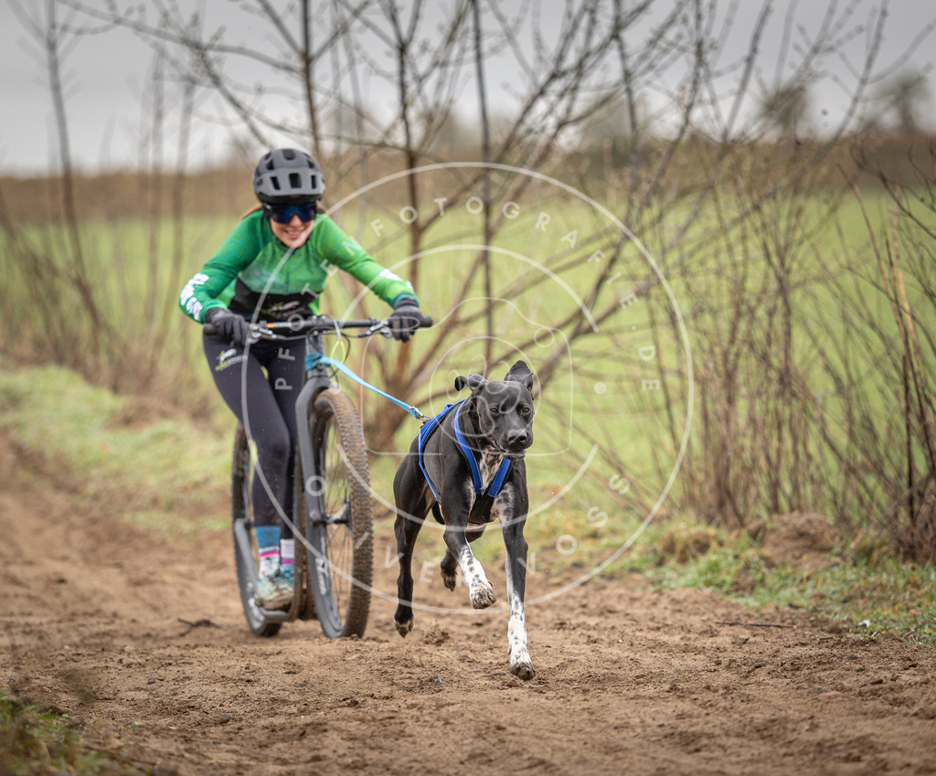 DV3A9177 | Hundefotografie, Tierfotograf, Pfotenfotografie, Fotoshooting Hund, Hunde Portrait, Hundesport, Hundeportraits, Heideshooting, Hunde, Sportfotograf, Hundefotograf, Turnierhundsport, THS,  - Realisiert mit Pictrs.com