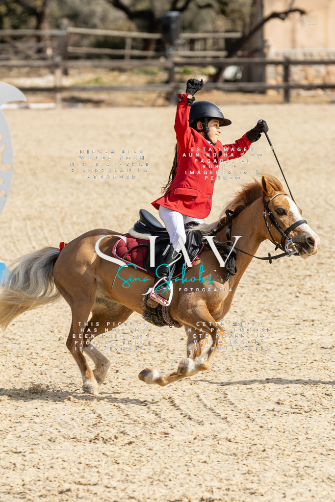 IMG_4367 | s-jay-photography - Realisiert mit Pictrs.com