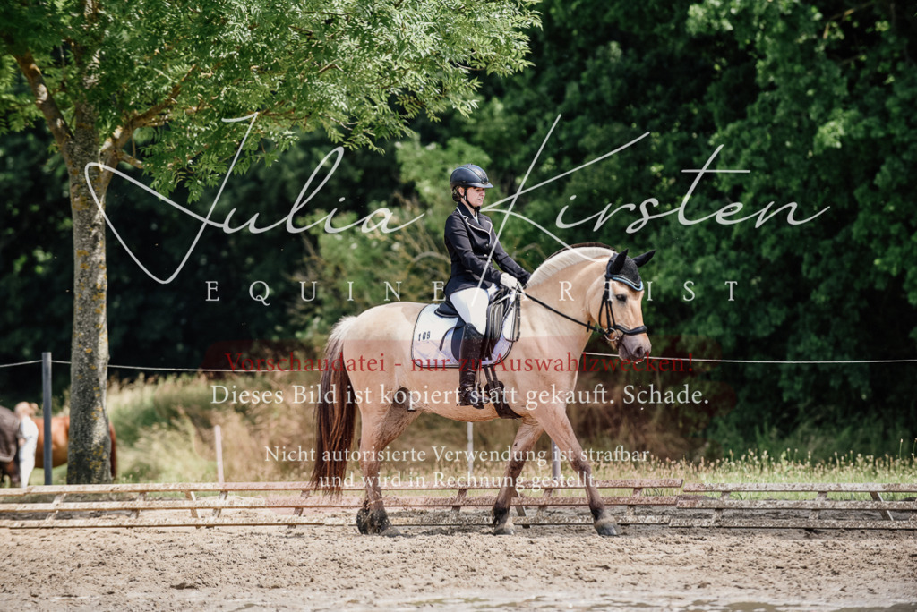 DSC_1646 | Pferde- und Turnierfotografie in Westsachsen. Pferdeportraits, Auftragszeichnungen und intuitive Kunst.