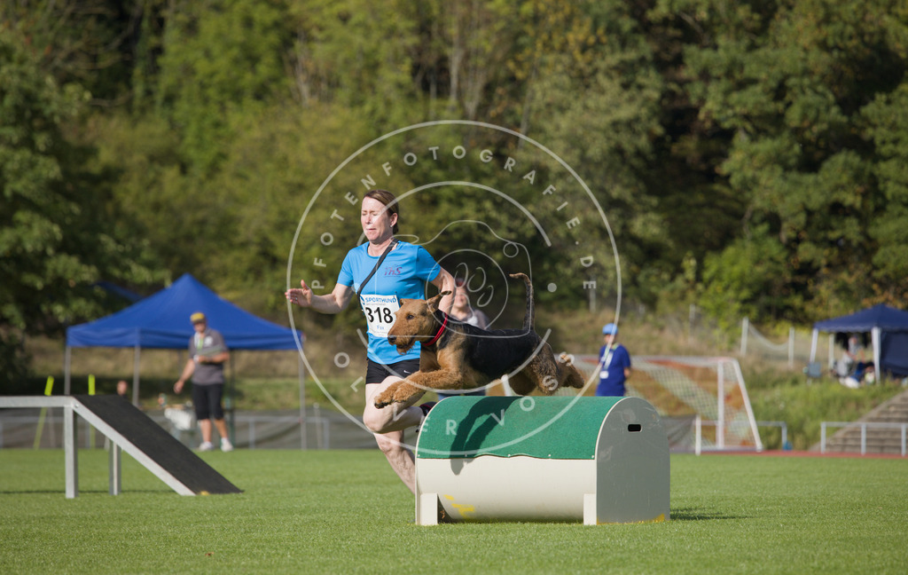 0L8A3800 | Hundefotografie, Tierfotograf, Pfotenfotografie, Fotoshooting Hund, Hunde Portrait, Hundesport, Hundeportraits, Heideshooting, Hunde, Sportfotograf, Hundefotograf, Turnierhundsport, THS,  - Realisiert mit Pictrs.com