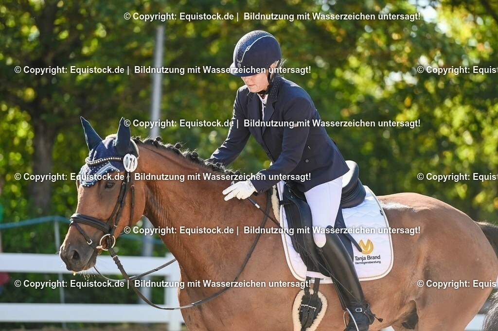 20230715_06_Dressurpferdeprfg. Kl.A_0223 | equistock